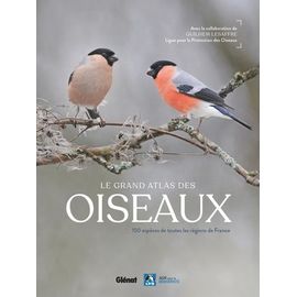 Le Grand Atlas Des Oiseaux - 150 Espèces De Toutes Les Régions De France