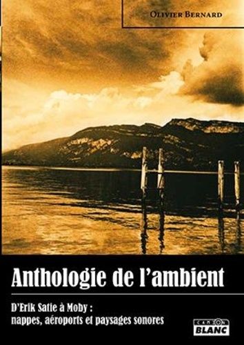 Anthologie De L'ambient - D'erik Satie À Moby : Nappes, Aéroports Et Paysages Sonores