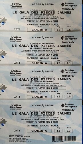 Concert Gala Des Pièces Jaunes Accor Arena Vendredi 26 Janvier 2024