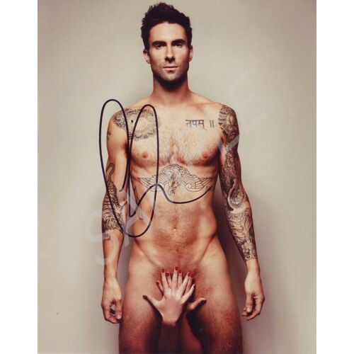 Photo Adam Levine Maroon 5 Dédicacée 10 X 15 Cm Al2