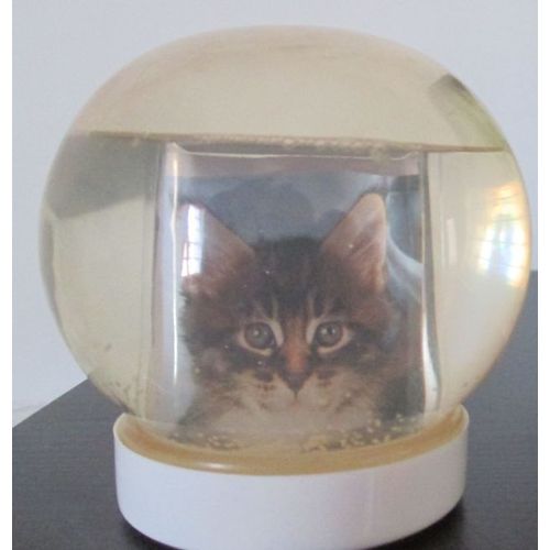 Boule de neige porte photo- corps en plastique souple- hauteur 8 cm- Eurogift- mode d'emploi au-dessous- vendu sans images