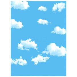 3x5ft Bleu Blanc Nuage Photographie Toile de fond Écran Arrière-plan Studio Accessoires