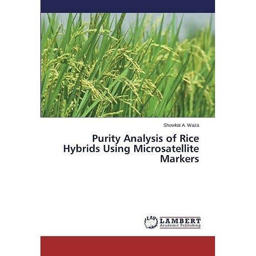 Purity Analysis Of Rice Hybrids Using Microsatellite Markers