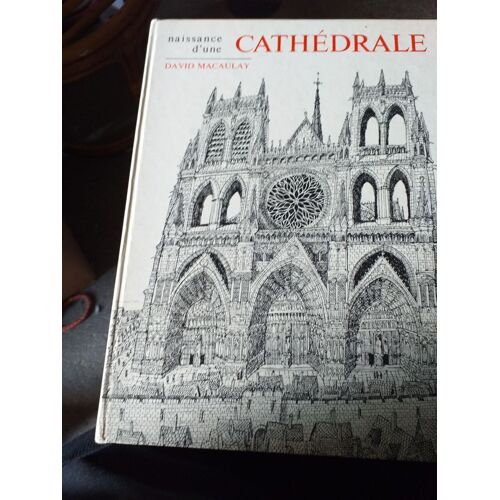 Naissance D'une Cathédrale.