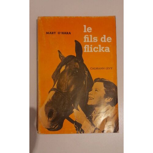 Le Fils De Flicka