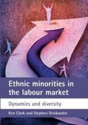 Ethnic Minorities In The Labour Market