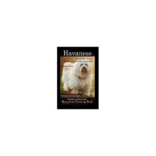 Havanese Havanese Training Gd