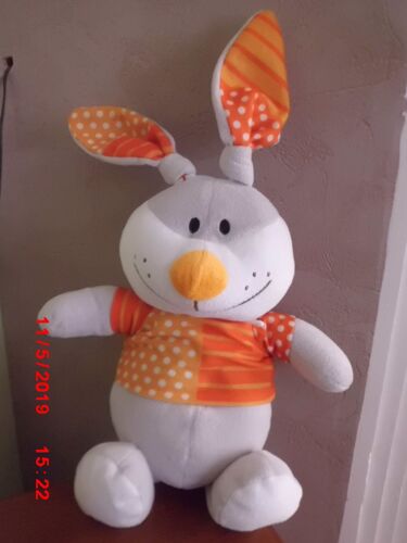 Lapin Gris Et Orange Fizzy