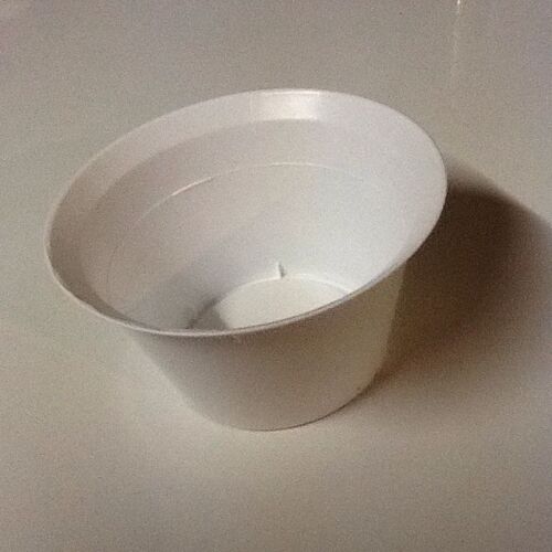Petit Pot En Plastique Blanc