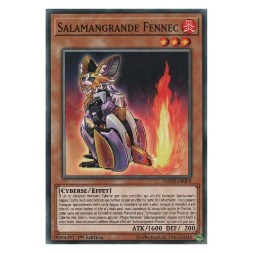 Salamangrande Fennec (Dane-Fr003)