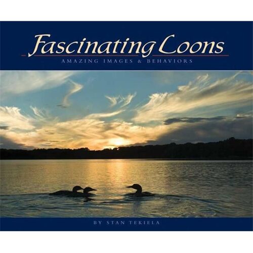 Fascinating Loons : Amazing Images & Behaviors