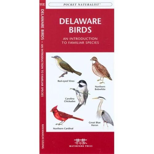 Delaware Birds