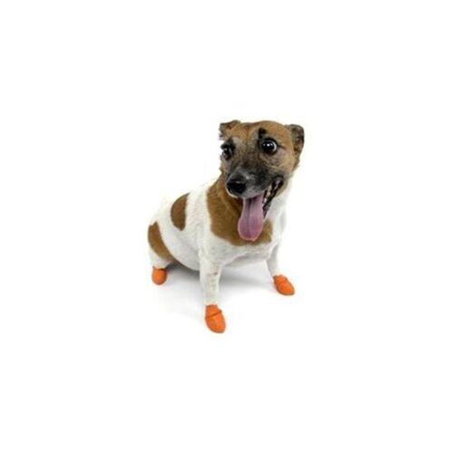 Pawz Dog Bottes 8-97515-00102-4 12 X Petit Comte D'orange