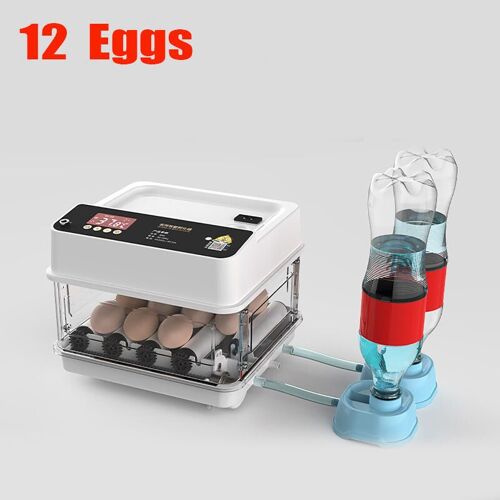 Recollections Of My Life And Work At Home And Abroad: In Connection With The Wesleyan Methodist Conference