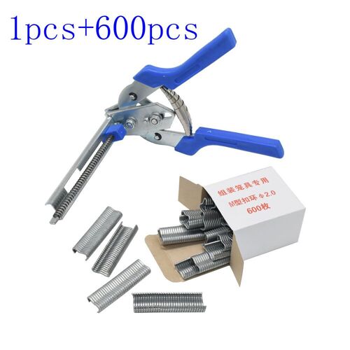 The Ceremonies Of The Roman Rite Described: In Accordance With The Rubrics Of Liturgical Books, The Decrees Of The Congregation Of Sacred Rites, The C