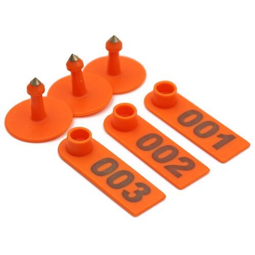 Tuolumne County, California. Mines And Mining Tuolumne County's Mineral Wealth... Official Organ...Golden Jubilee Executive Committee Of Tuolumne Coun