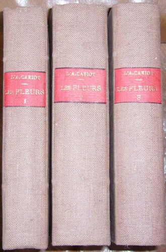 Etude Des Fleurs. Botanique Élémentaire, Descriptive Et Usuelle. Tome Troisième : Flore Horticole Et Dictionnire