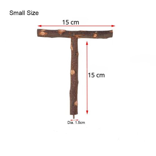 A Plan For The South Vancouver Area