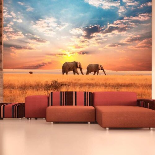 Papier Peint "Éléphants de Savane D'Afrique" 231 x 300 cm