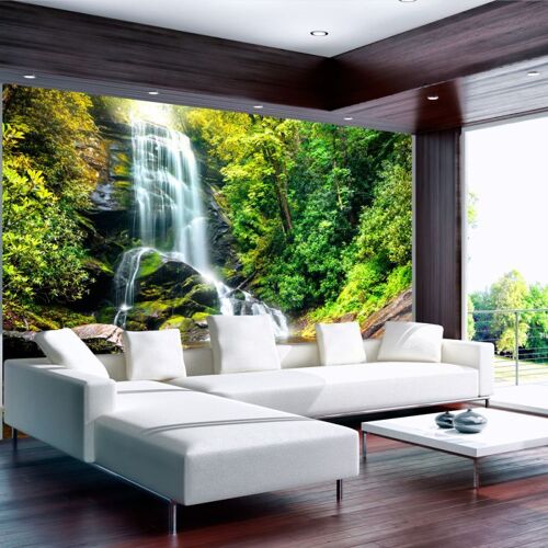 Papier Peint "Wonder of Nature" 280 x 400 cm