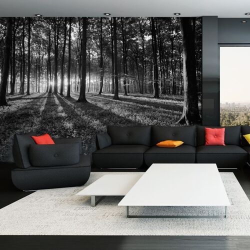 Papier Peint "The Light in the Forest" 70 x 100 cm
