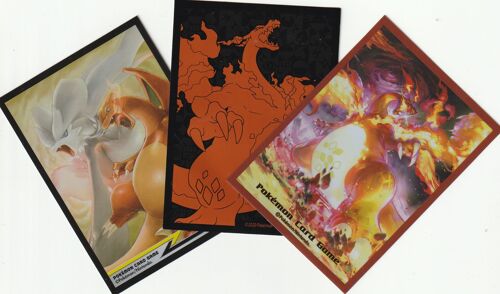 3 Proteges Cartes - Sleeves - 3 Dracaufeu Différents - Ultra-Pro -