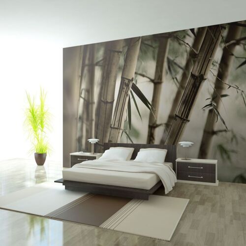Papier Peint "Fog & Bamboo Forest II" 450x270cm