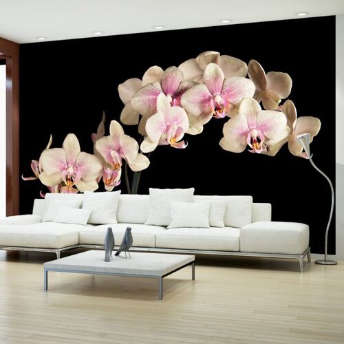 Papier Peint "Orchidée en Fleurs II" 450x270cm