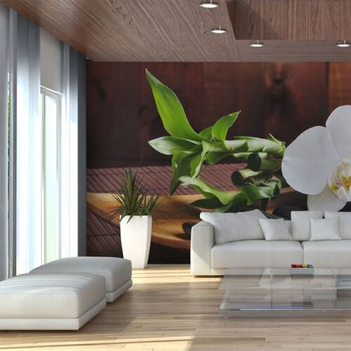 Papier Peint "Temple Zen II" 270x450cm