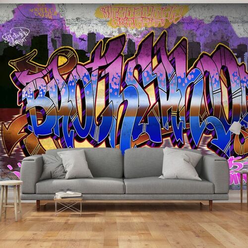 Papier Peint "Colorful Mural" 245 x 350 cm