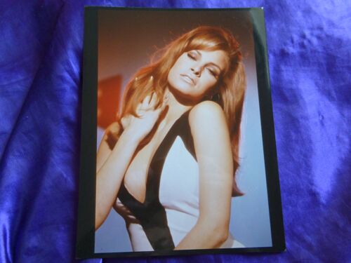 Raquel Welch. Photo Officielle De Hollywood. Papier Couleur Professionnel Brillant. Format 20.2x26 Cm. Collection À Vendre. Photo Posée Avec Tête Penchée Et Haut Blanc Et Noir.