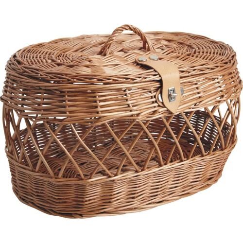 Cage De Transport Chien & Chat