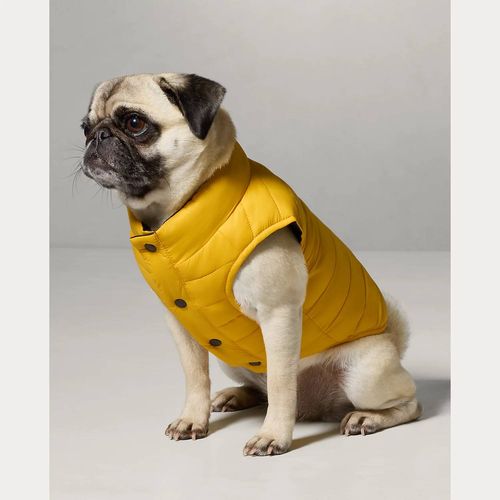 Doudoune Pour Chien