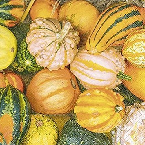 Lot 20 Serviettes en papier Courge Decoration 33 x 33cm