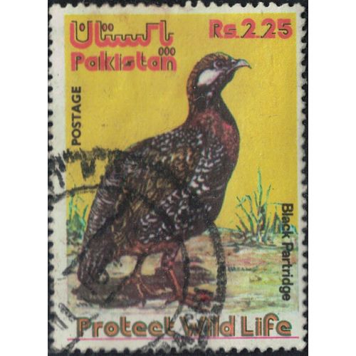 Pakistan 1975 Oblitéré Used Oiseau Perdrix Noire Black Partridge Y&t Pk 385 Su