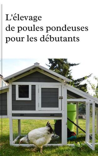 L'élevage De Poules Pondeuses Pour Les Débutants