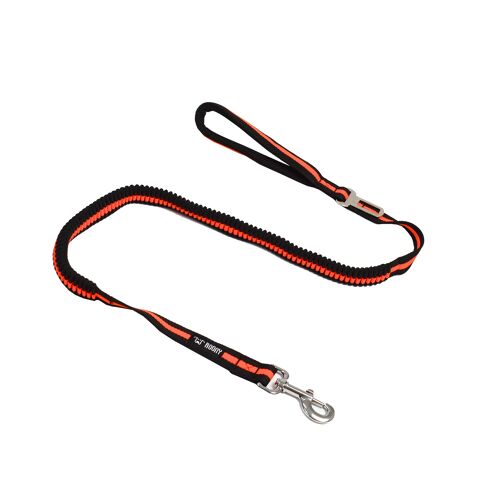 Laisse Pour Chien Avec Boucle De Ceinture De Sécurité