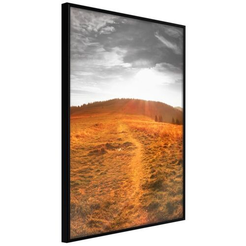 Affiche Murale Encadrée "Prairie" 21 X 30 Cm Noir