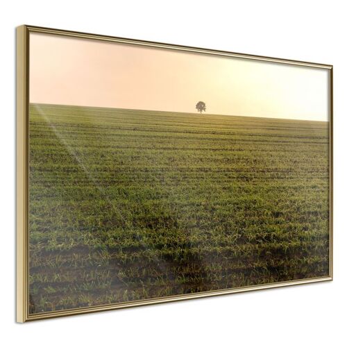 Affiche Murale Encadrée "Farmland" 60 X 40 Cm Or