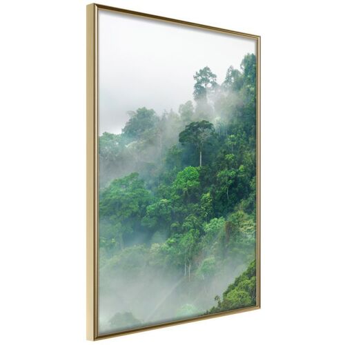 Affiche Murale Encadrée "Green Lungs Of The Earth Ii" 30 X 42 Cm Or