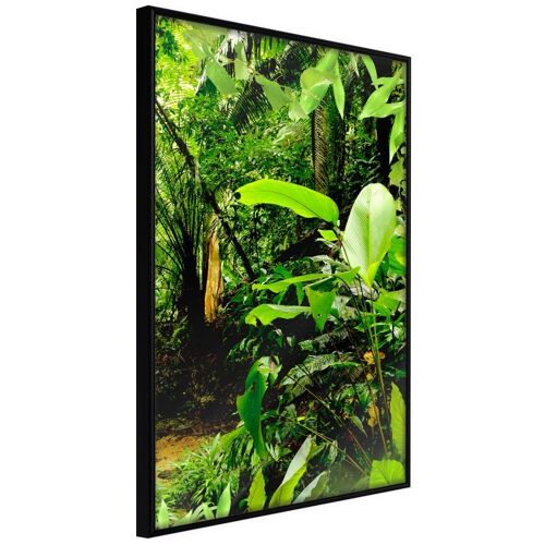 Affiche Murale Encadrée "In The Rainforest" 21 X 30 Cm Noir
