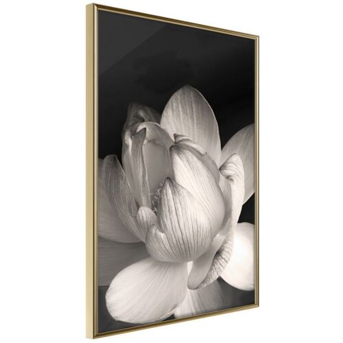 Affiche Murale Encadrée "Delicacy Of A Flower" 21 X 30 Cm Or
