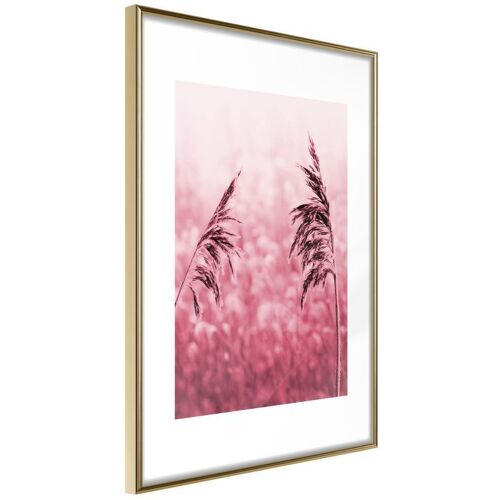 Affiche Murale Encadrée "Amaranth Meadow" 30 X 42 Cm Or
