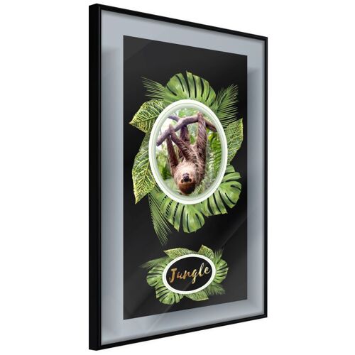 Affiche Murale Encadrée "Greetings From The Jungle" 21 X 30 Cm Noir