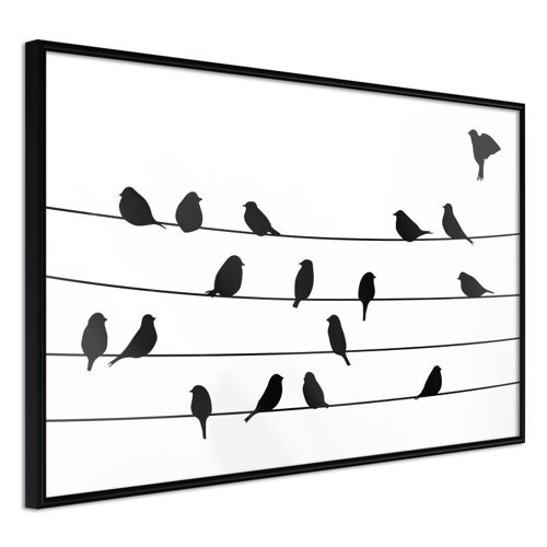 Affiche Murale Encadrée "Birds Council Meeting" 90 X 60 Cm Noir