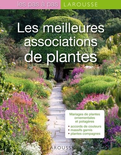 Les Meilleures Associations De Plantes