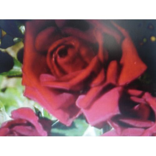 10 Graines De Rosier Grimpant Rouge