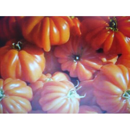 30 Graines De Tomate Cotelée Corazon