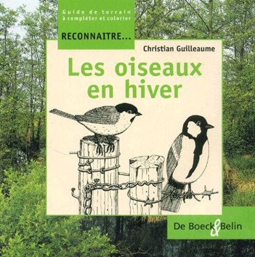 Les Oiseaux En Hiver