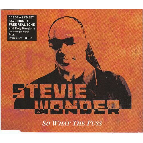 Stevie Wonder / So What The Fuss / Cd Maxi 3 Titres